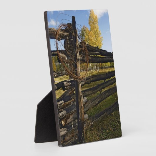 Prikkeldraad Fotoplaat (Zijkant)