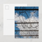 Prikkeldraad hek briefkaart (Voorkant / Achterkant)