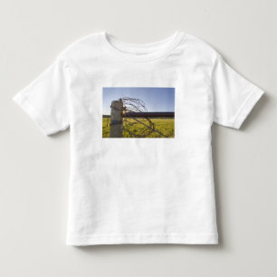 Prikkeldraad opgerold op een heg nabij kinder shirts