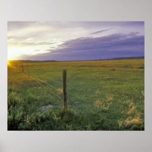 Prikkeldraadafsluiting in noordoost Montana Poster