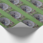 Prikkerige Inpakpapier (Hoek)