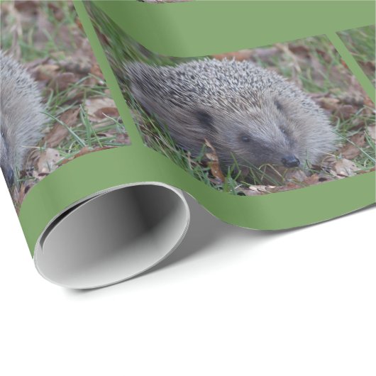 Prikkerige Inpakpapier (Rol Hoek)