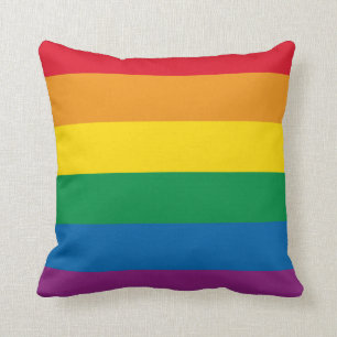 Prima Kleurig regenboogontwerp Kussen