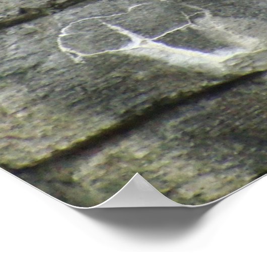 Primaat en waterval Poster (Hoek)