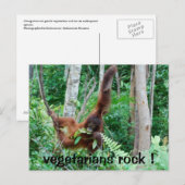 Primaat Vegetaires Rock! Briefkaart (Voorkant / Achterkant)
