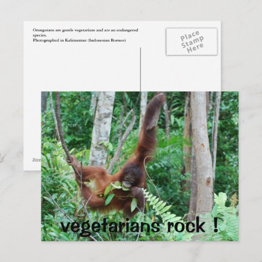 Primaat Vegetaires Rock! Briefkaart (Voorkant / Achterkant)