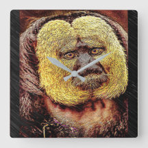 Primaire modellen: Saki-aap met witte gezicht