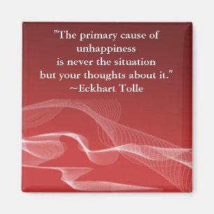 Primaire oorzaak van ongeluk magneet