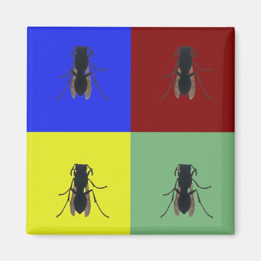 primaire vleugels magneet (Voorkant)