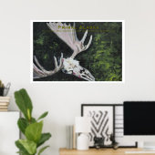 Primal Alaska Poster (Thuiskantoor)