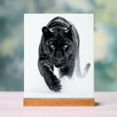 Primal Power 002 – zwarte panter Acryl Bord (Neutraal)
