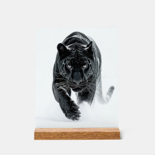     Primal Power 002 – zwarte panter Acryl Bord