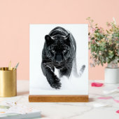 Primal Power 002 – zwarte panter Acryl Bord (Huwelijk)