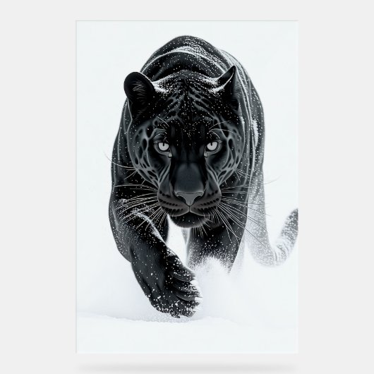 Primal Power 002 – zwarte panter Acryl Bord (Voorkant)