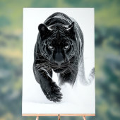 Primal Power 002 – zwarte panter Acryl Bord (Neutraal)