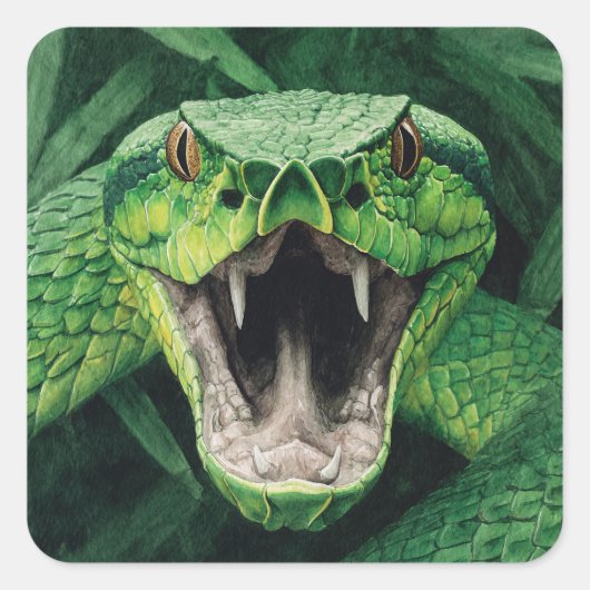 Primal Power 008 – Slang Vierkante Sticker (Voorkant)