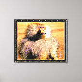 Primate Models: Hamadryas baboon 01 Canvas Afdruk (Voorkant)