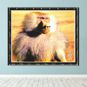 Primate Models: Hamadryas baboon 01 Canvas Afdruk (Insitu (Houten vloer))