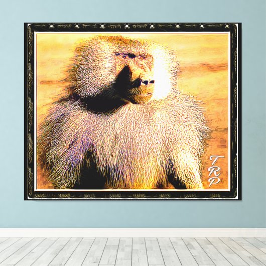 Primate Models: Hamadryas baboon 01 Canvas Afdruk (Insitu (Houten vloer))