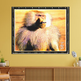 Primate Models: Hamadryas baboon 01 Canvas Afdruk