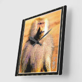 Primate Models: Hamadryas baboon 01 Vierkante Klok (Hoek)