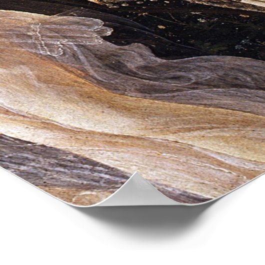 Primavera, Detail van Venus, door Sandro Botticell Poster (Hoek)