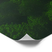 Primeval Forest Aerial Photography Poster (Hoek)