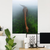 Primeval Forest Aerial Photography Poster (Thuiskantoor)