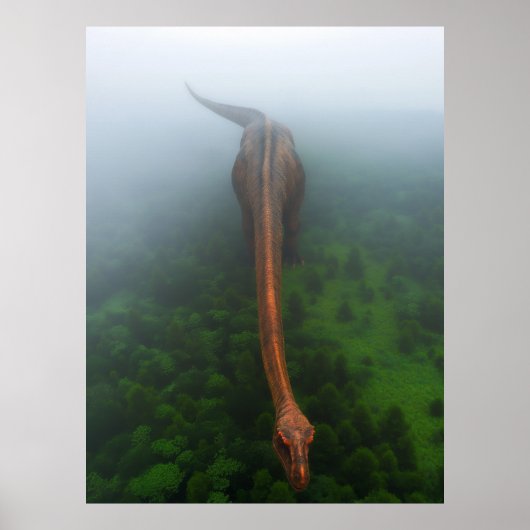 Primeval Forest Aerial Photography Poster (Voorkant)