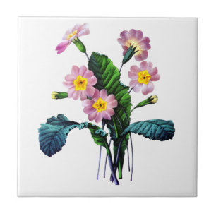 Primevere of Primroses van Pierre Joseph Redoute Tegeltje