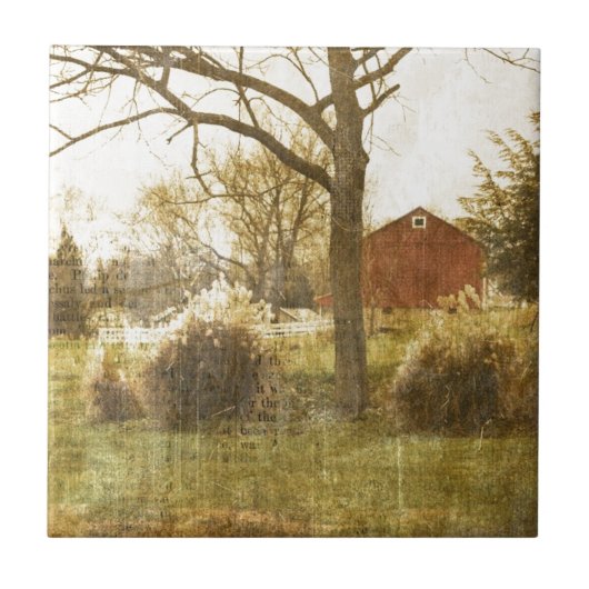 Primitief Boerderij rode kool bij landbomen in de  Tegeltje (Voorkant)