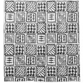 primitief patroon douchegordijn (Voorkant)