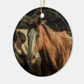 Primitief rustiek western landpaard keramisch ornament (Links)