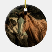 Primitief rustiek western landpaard keramisch ornament (Achterkant)