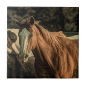 Primitief rustiek western landpaard tegeltje (Voorkant)