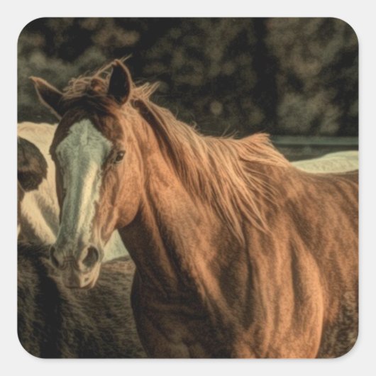 Primitief rustiek western landpaard vierkante sticker (Voorkant)