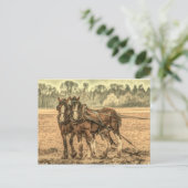 Primitief Western land boerderij proefpaarden Briefkaart (Staand voorkant)