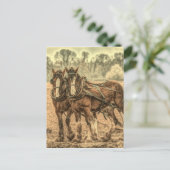 Primitief Western land boerderij proefpaarden Briefkaart (Staand voorkant)