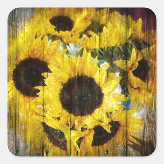 Primitieve Barn Wood Western Land Sunflower Vierkante Sticker (Voorkant)