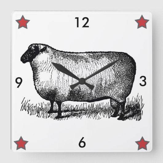 primitieve wandklok tegen schapenwand (Voorkant)