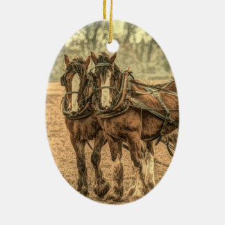 Primitieve Westerne land boerderij Keramisch Ornament