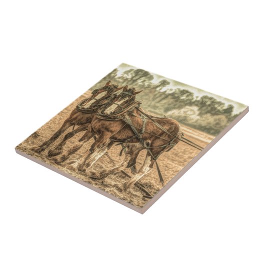 Primitieve Westerne land boerderij Tegeltje (Zijkant)