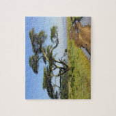 Primitieve zandweg en acia-boom, meer van Nakuru Legpuzzel (Verticaal)