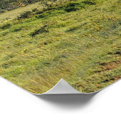 Primitieve zandweg en acia-boom, meer van Nakuru Poster (Hoek)