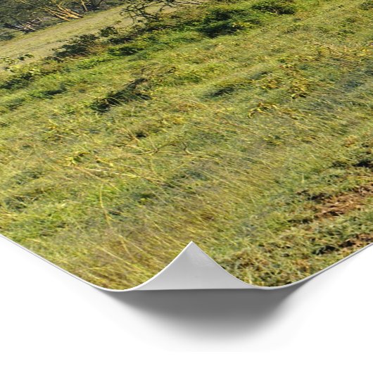 Primitieve zandweg en acia-boom, meer van Nakuru Poster (Hoek)