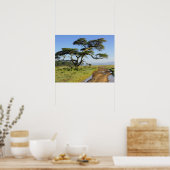 Primitieve zandweg en acia-boom, meer van Nakuru Poster (Keuken)