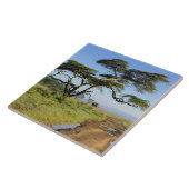 Primitieve zandweg en acia-boom, meer van Nakuru Tegeltje (Zijkant)