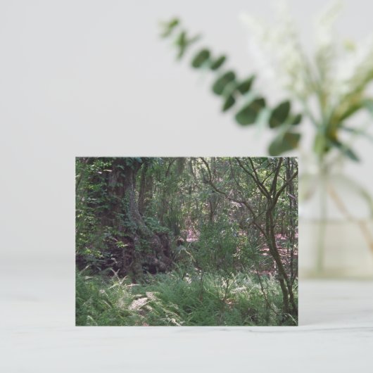 Primordiale Briefkaarten van de Foto van Louisiana (Staand voorkant)