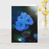 Primrosbloemen in blauw kaart (Gele Bloem)