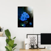 Primrosbloemen in blauw poster (Thuiskantoor)